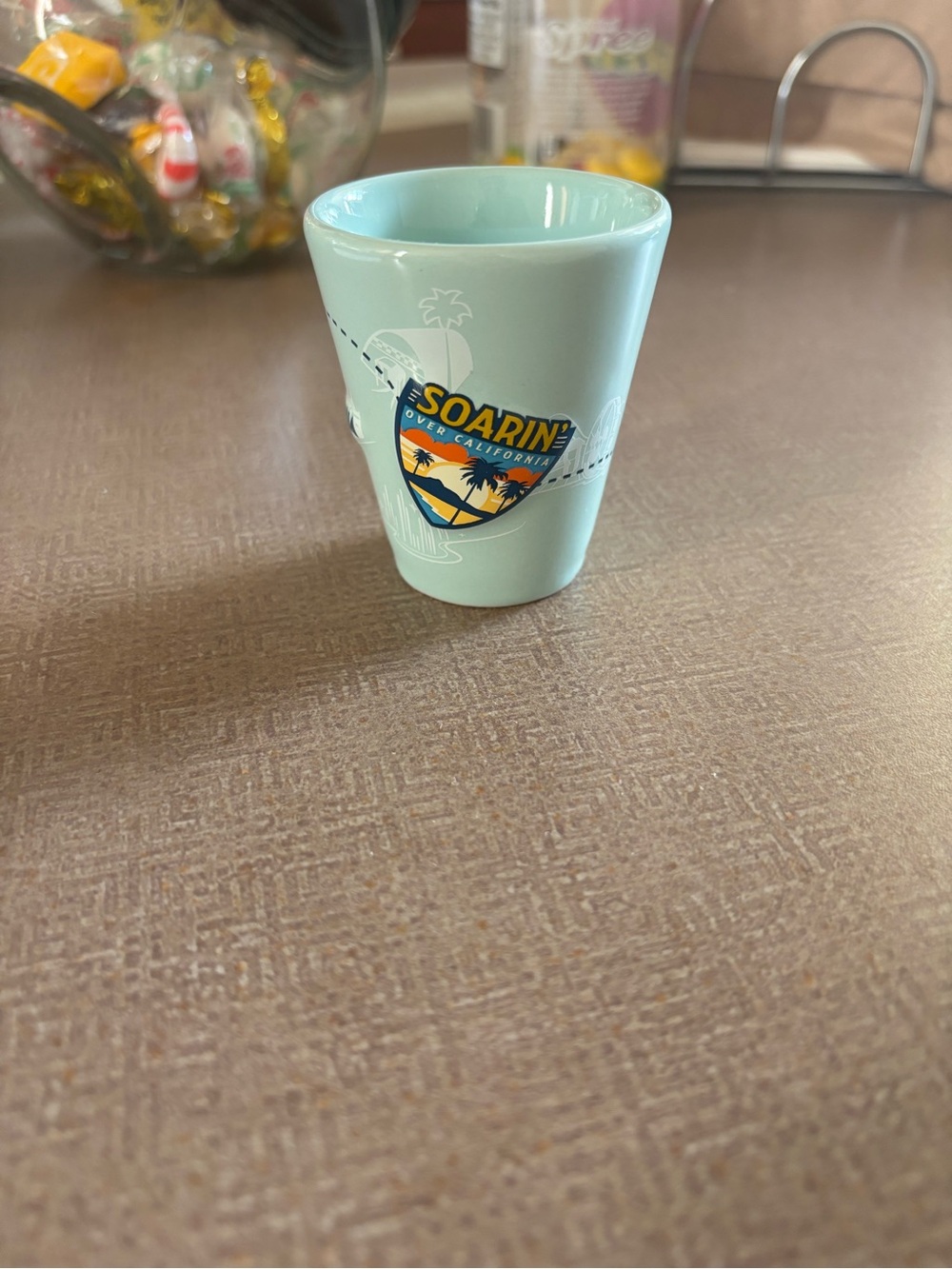 Disney Soarin' Over California Light Aqua Ceramic Shot Glass